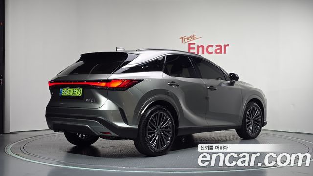 Lexus RX Luxury — пробег 13 688 км — фото 2 из 5