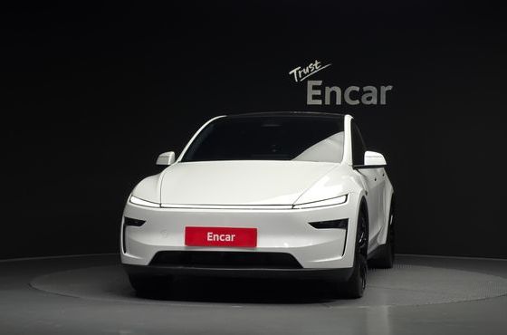 Tesla Model Y Long Range AWD — пробег 28 251 км — фото 3 из 5