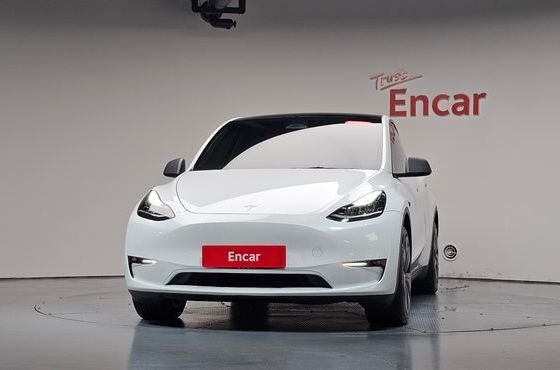 Tesla Model Y Long Range AWD — пробег 65 074 км — фото 3 из 5