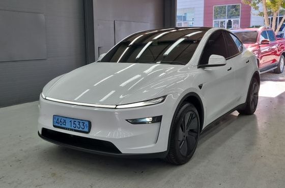 Tesla Model Y Premium Long Range AWD — пробег 2 700 км — фото 3 из 5