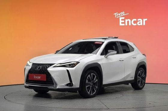 Lexus UX 2.0 AWD — пробег 85 618 км — фото 1 из 5