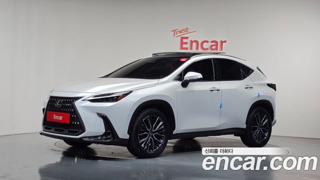 Lexus NX Luxury — пробег 13 253 км — фото 1 из 5