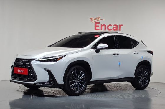 Lexus NX Luxury — пробег 13 253 км — фото 1 из 5