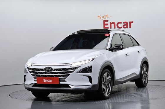 Hyundai Nexo Premium — пробег 109 334 км — фото 1 из 5
