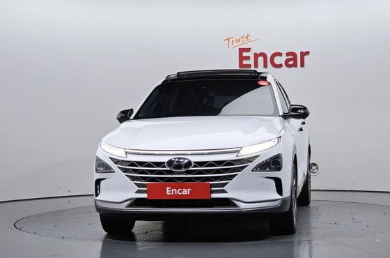Hyundai Nexo Premium — пробег 109 334 км — фото 3 из 5