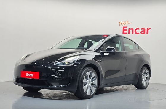 Tesla Model Y RWD — пробег 43 127 км — фото 1 из 5