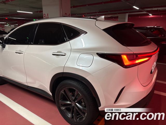 Lexus NX Premium — пробег 14 000 км — фото 2 из 5