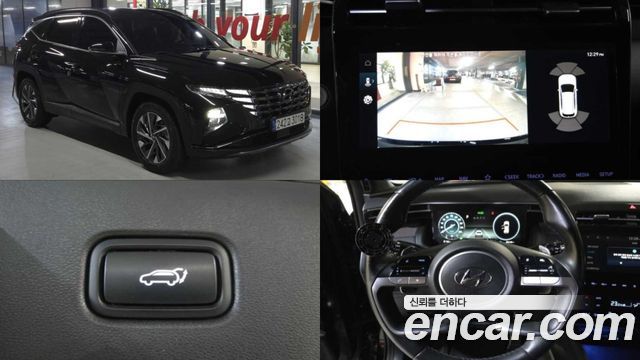 Hyundai Tucson HEV 1.6 2WD Inspiration — пробег 206 119 км — фото 1 из 5