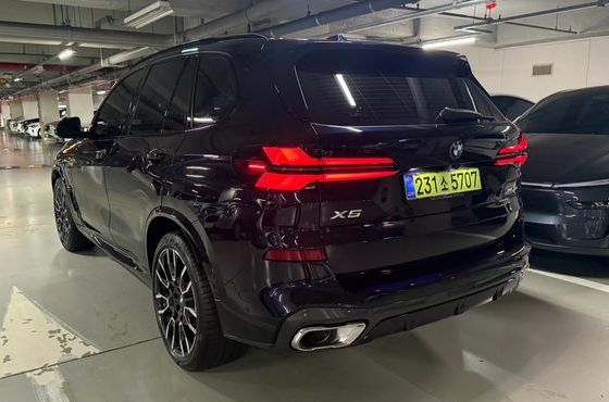 BMW X5 xDrive 40i M Sport — пробег 700 км — фото 5 из 5