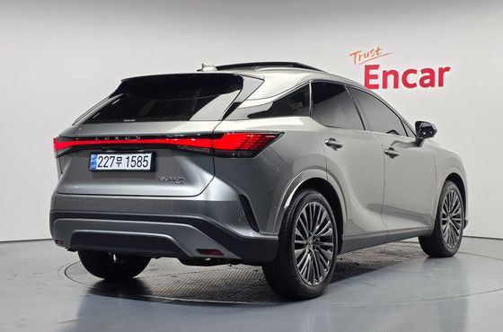 Lexus RX Luxury — пробег 39 111 км — фото 2 из 5