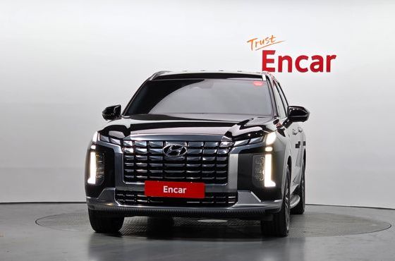 Hyundai Palisade Diesel 2.2 2WD Calligraphy — пробег 50 383 км — фото 3 из 5