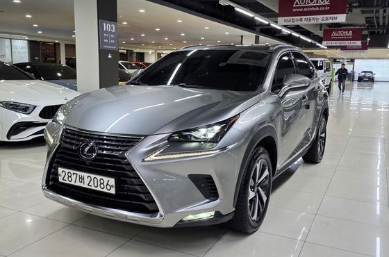 Lexus NX Executive — пробег 13 939 км — фото 4 из 5