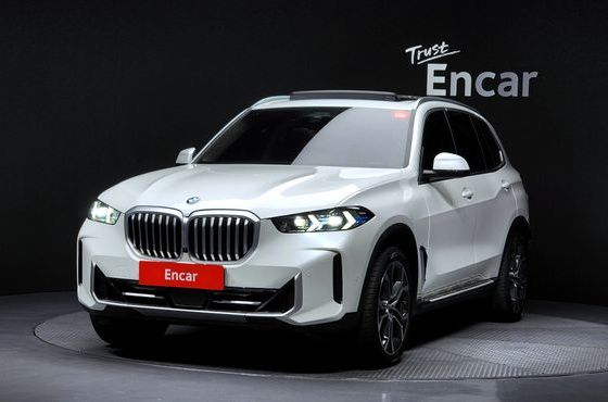 BMW X5 xDrive 30d xLine — пробег 52 311 км — фото 1 из 5