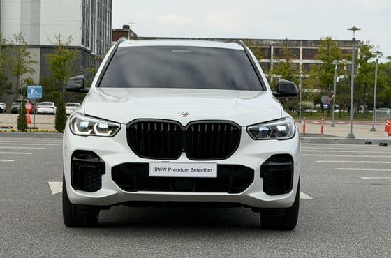 BMW X5 M50i — пробег 51 242 км — фото 3 из 5