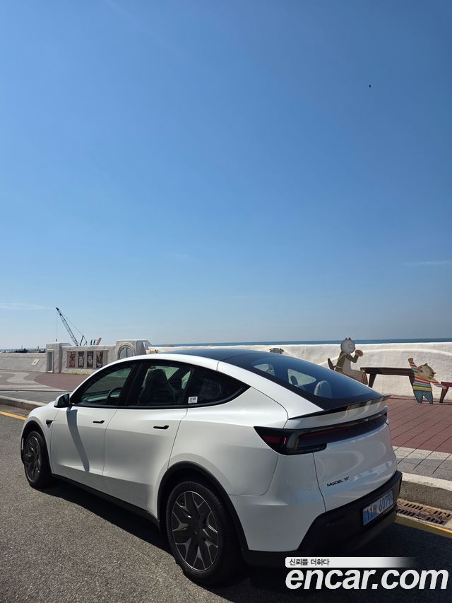 Tesla Model Y из Кореи Encar