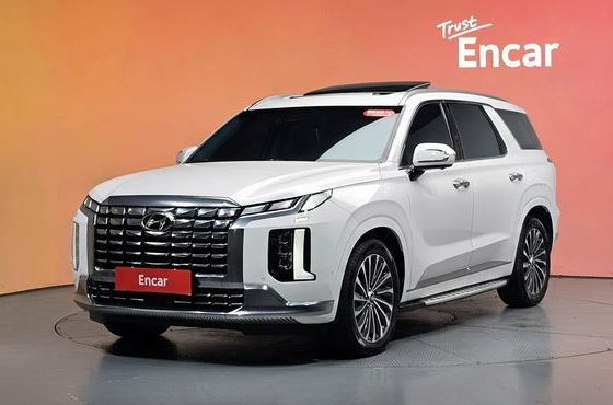 Hyundai Palisade Diesel 2.2 4WD Calligraphy — пробег 35 391 км — фото 1 из 5