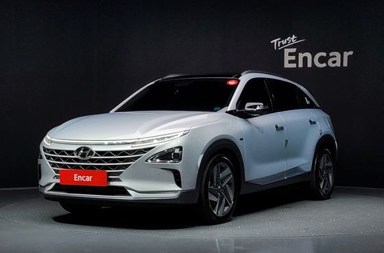 Hyundai Nexo Premium — пробег 48 775 км — фото 1 из 5