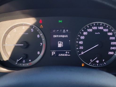 Hyundai Sonata LPI Premium — пробег 225 618 км — фото 4 из 5