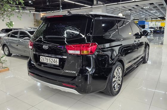 Kia Carnival 7-seater Limousine VIP — пробег 135 355 км — фото 4 из 5