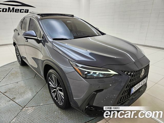 Lexus NX Luxury — пробег 38 958 км — фото 3 из 5