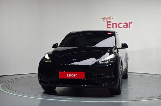 Tesla Model Y Long Range AWD — пробег 41 900 км — фото 3 из 5