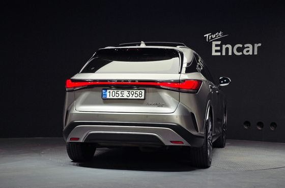 Lexus RX Luxury — пробег 60 331 км — фото 4 из 5