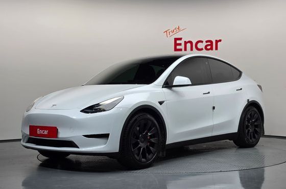 Tesla Model Y RWD — пробег 90 511 км — фото 1 из 5