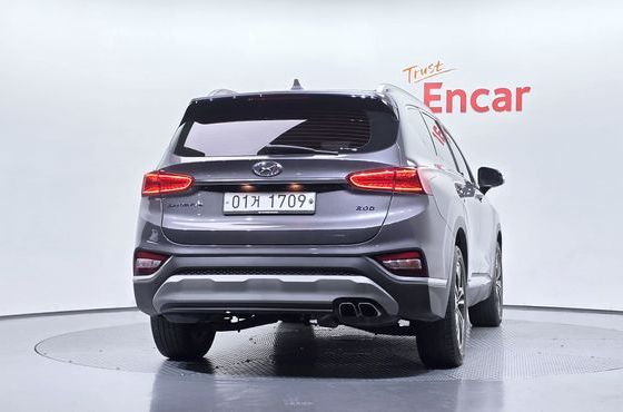 Hyundai Santafe Diesel 2.0 2WD Exclusive Special — пробег 170 895 км — фото 4 из 5