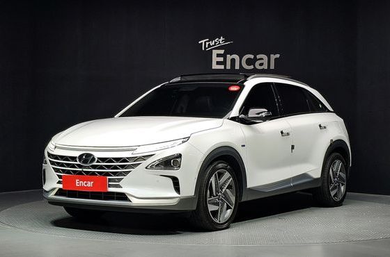 Hyundai Nexo Premium — пробег 181 316 км — фото 1 из 5