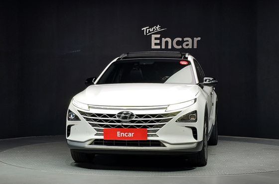 Hyundai Nexo Premium — пробег 181 316 км — фото 3 из 5
