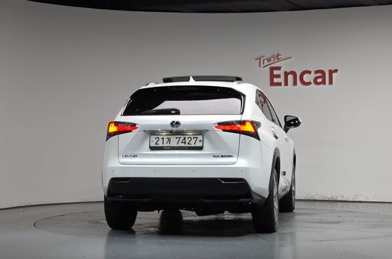 Lexus NX Executive — пробег 113 829 км — фото 4 из 5