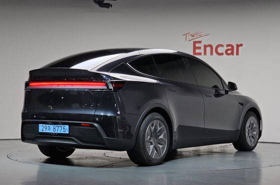 Tesla Model Y L Long Range AWD — пробег 48 км — фото 2 из 5