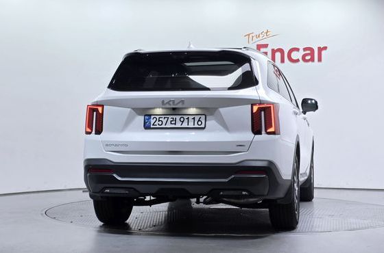 Kia Sorento HEV 1.6 2WD Gravity — пробег 12 460 км — фото 4 из 5