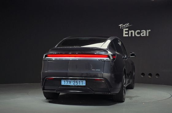 Tesla Model Y Long Range AWD — пробег 24 633 км — фото 4 из 5