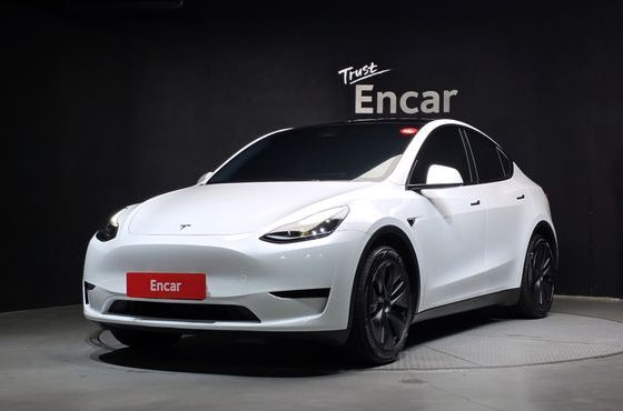 Tesla Model Y RWD — пробег 30 495 км — фото 1 из 5