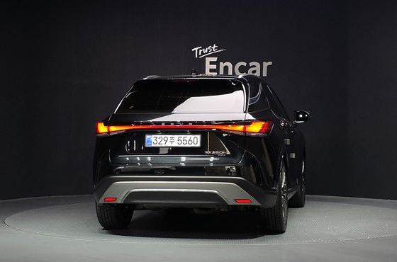 Lexus RX Luxury — пробег 12 242 км — фото 4 из 5