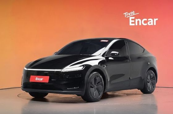 Tesla Model Y RWD — пробег 11 009 км — фото 1 из 5