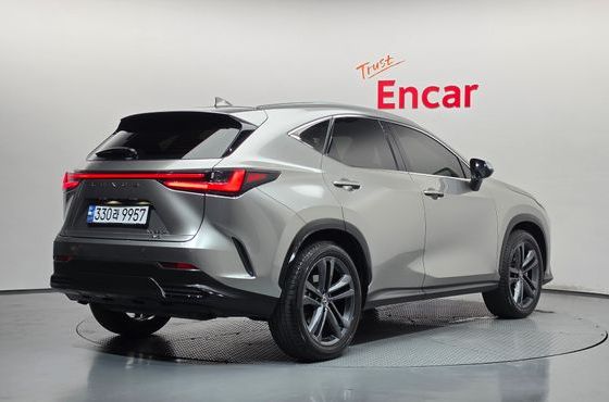 Lexus NX Premium — пробег 41 920 км — фото 2 из 5
