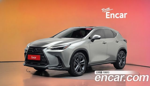 Lexus NX Premium — пробег 41 920 км — фото 1 из 5