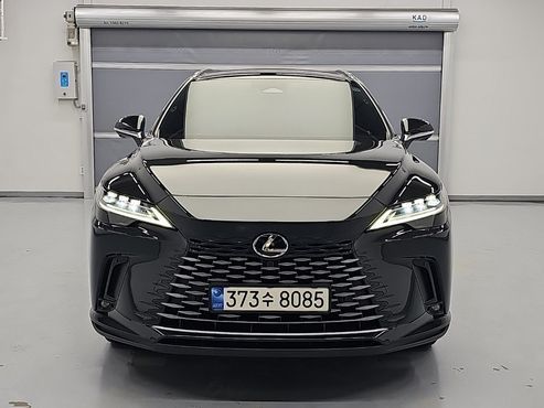 Lexus RX Luxury — пробег 123 102 км — фото 1 из 5