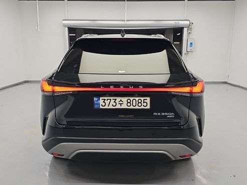 Lexus RX Luxury — пробег 123 102 км — фото 3 из 5
