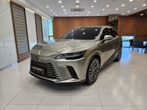 Lexus RX Luxury — пробег 56 563 км — фото 1 из 5