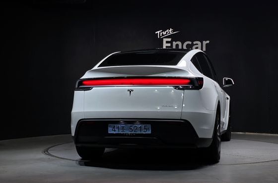 Tesla Model Y Long Range AWD — пробег 28 483 км — фото 4 из 5