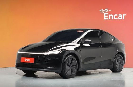 Tesla Model Y RWD — пробег 26 313 км — фото 1 из 5