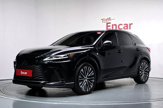 Lexus RX Luxury — пробег 48 252 км — фото 1 из 5