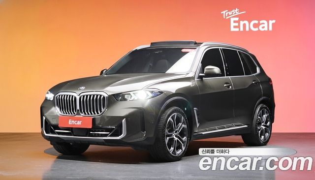 BMW X5 xDrive 40i xLine — пробег 100 651 км — фото 1 из 5