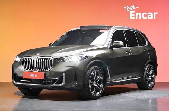 BMW X5 xDrive 40i xLine — пробег 100 651 км — фото 1 из 5