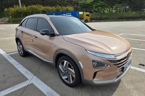 Hyundai Nexo Premium — пробег 98 500 км — фото 1 из 5