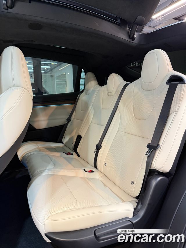 Tesla Model X AWD — пробег 274 км — фото 5 из 5