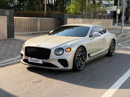 Bentley Continental 6.0 GT — пробег 37 100 км — фото 1 из 5